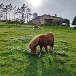 아파트 Casa Carballeira *