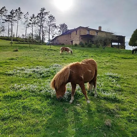 Апартаменты Casa Carballeira *