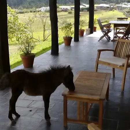 Апартаменты Casa Carballeira Villarfernando